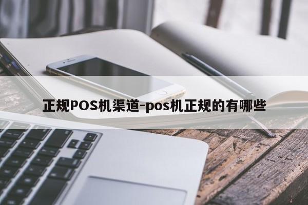 庆元正规POS机渠道-pos机正规的有哪些